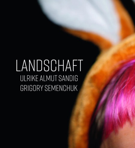 Schwarzer Hintergrund und ein Viertel eines Kopfes, mit lila gefärbten Haaren und einem Tierkostüm - möglicherweise Fuchs.